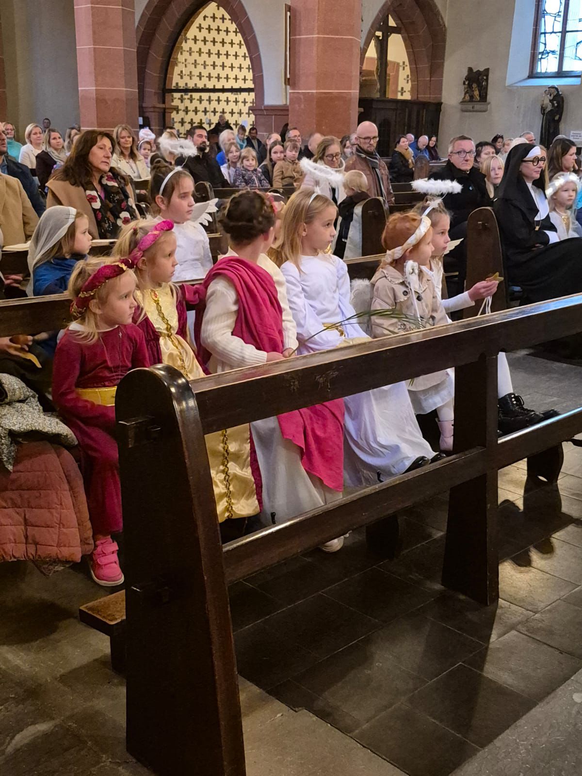 IMG-20251103-WA0006 (c) Zb.Topolnicki IMG-20251103-WA0006